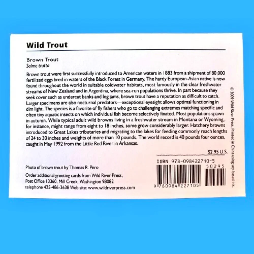 WILD TROUT Stationery Note Greeting Cards Blank 12 Cards + Envelopes Box